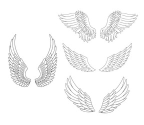 heraldic wings set isolated on white Vector Image
