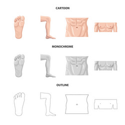 isolated object of human and part icon collection vector