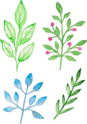 Watercolor Floral Sprigs Vector Image