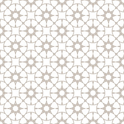 Intricate Star Pattern vector image