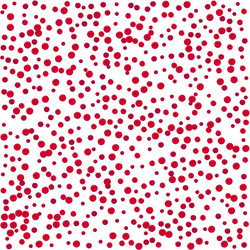 cranberry background pattern vector image