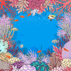 Underwater Coral Reef Background vector image
