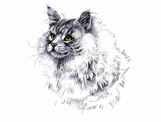 Black and white longhair cat ink hand drawn vector