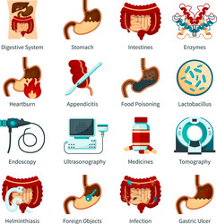 Digestive System Flat Icon Set vector image