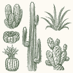 Cactus Cartoon Vector Images (over 30,000) Cactus Cartoon Vector Images (over 30,000)