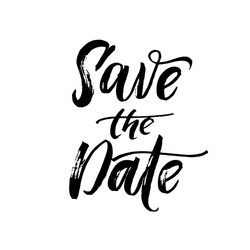 save date text calligraphy vector image