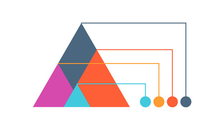 Data Analytics Infographic vector image