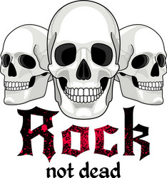 skulls logo for musical band Vector Image
