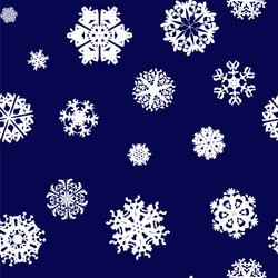 Winter Snowflake Pattern vector image