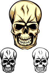 skull color dwa Vector Image