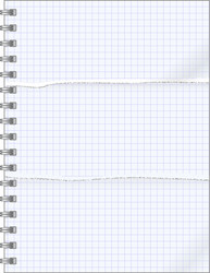 Torn Notebook Pages vector image