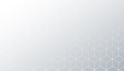 white background with hexagonal line pattern vector image