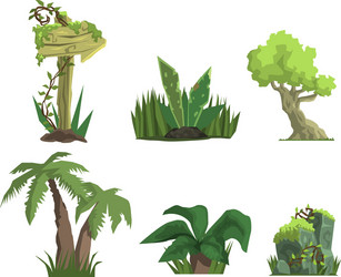 Tropical jungle trees and plants set user vector