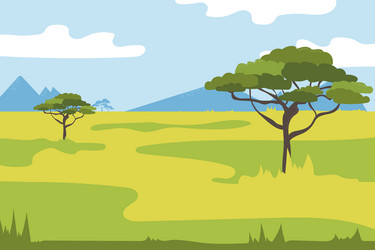 African savannah grass acacia trees vector