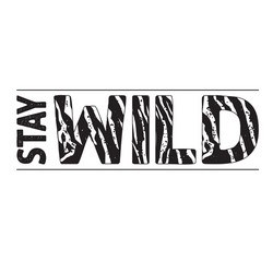 Stay wild fashion slogan with tiger skin pattern vector