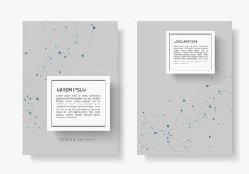 abstract connect background with connected lines vector image