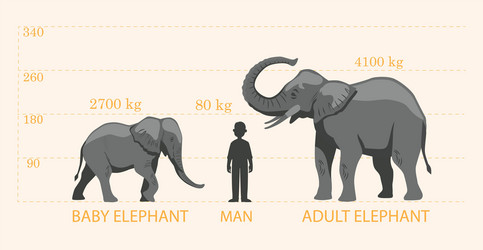 comparing elephants to humans vector