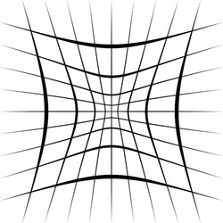 grid mesh lattice with distortion warp effect vector image