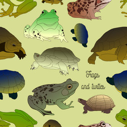 set with frogs and turtless pattern vector image