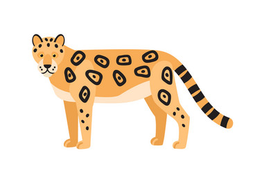 Happy leopard cartoon isolated on white background