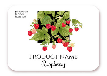 Raspberry ripe berries on branch template vector