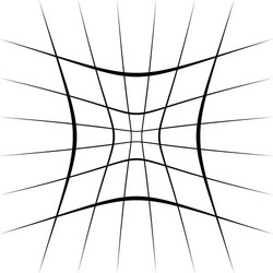 grid mesh lattice with distortion warp effect vector image