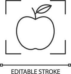Object Detection Icon - Linear Style vector image