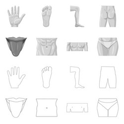 Isolated object of human and part icon collection vector