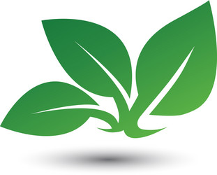 Leaf green icon Royalty Free Vector Image - VectorStock