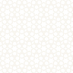 Subtle Hexagonal Grid Pattern vector image