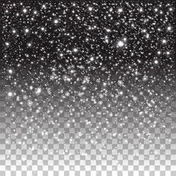Falling snow isolated on transparent background Vector Image