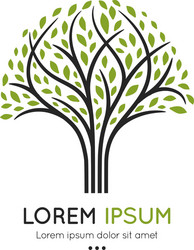 Square abstract tree emblem Royalty Free Vector Image