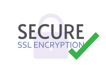 SSL Secure Encryption Icon vector image