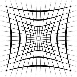grid mesh lattice with distortion warp effect vector image