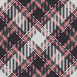 Retro Tartan Plaid Pattern vector image