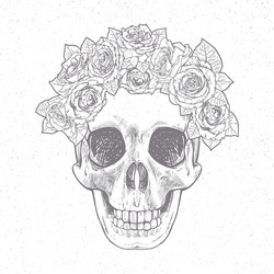 Vintage hand drawn skull with roses vector