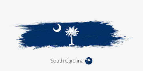 South Carolina Grunge Flag Vector Image