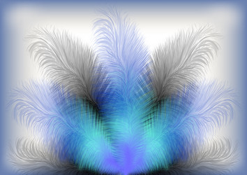 Colorful feather background Royalty Free Vector Image