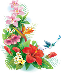 Tropical Flower Arrangement Vector Image