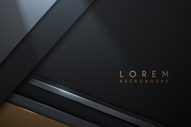 Modern abstract 3d background with black paper Vector Image