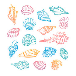 Doodle set of seashells vector