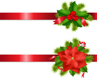 Winter flower with ribbons Royalty Free Vector Image