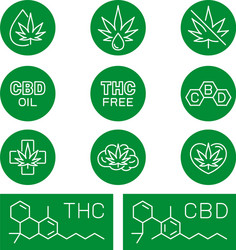 Cbd oil benefits medical uses vector