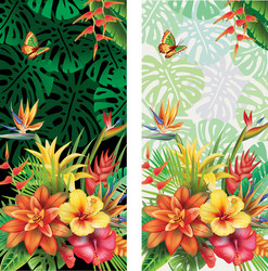 Tropical Flowers Cards Vector Image