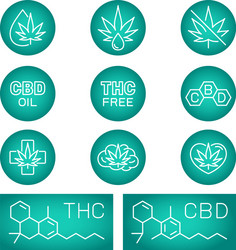 cbd oil benefits medical uses Vector Image