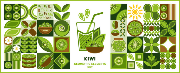 design elements logo with kiwi in geometric style vector image
