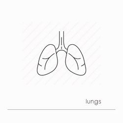 Hand drawn lungs doodle style internal organs Vector Image
