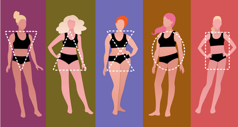 Body-positive female body types Royalty Free Vector Image