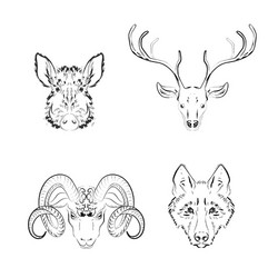 Set of animals sketches deer vector