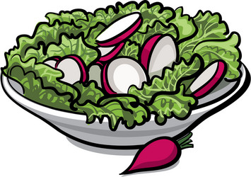 Vegetable fresh salad Royalty Free Vector Image